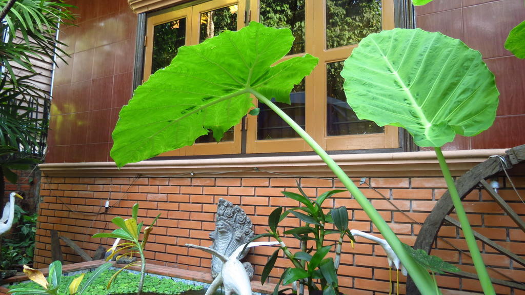 Big Lyna Villa Sziemreap Kültér fotó